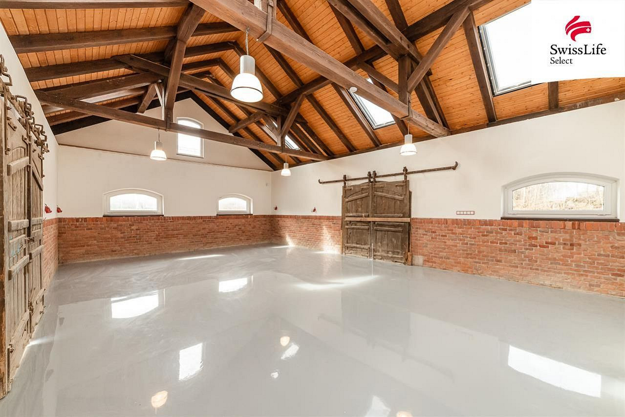 Pronájem obchodních prostor 230 m² – fotografie 5