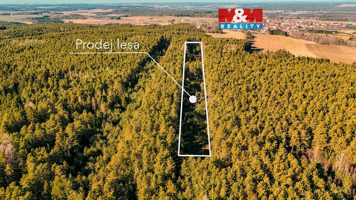 Prodej lesa 18 382 m²
