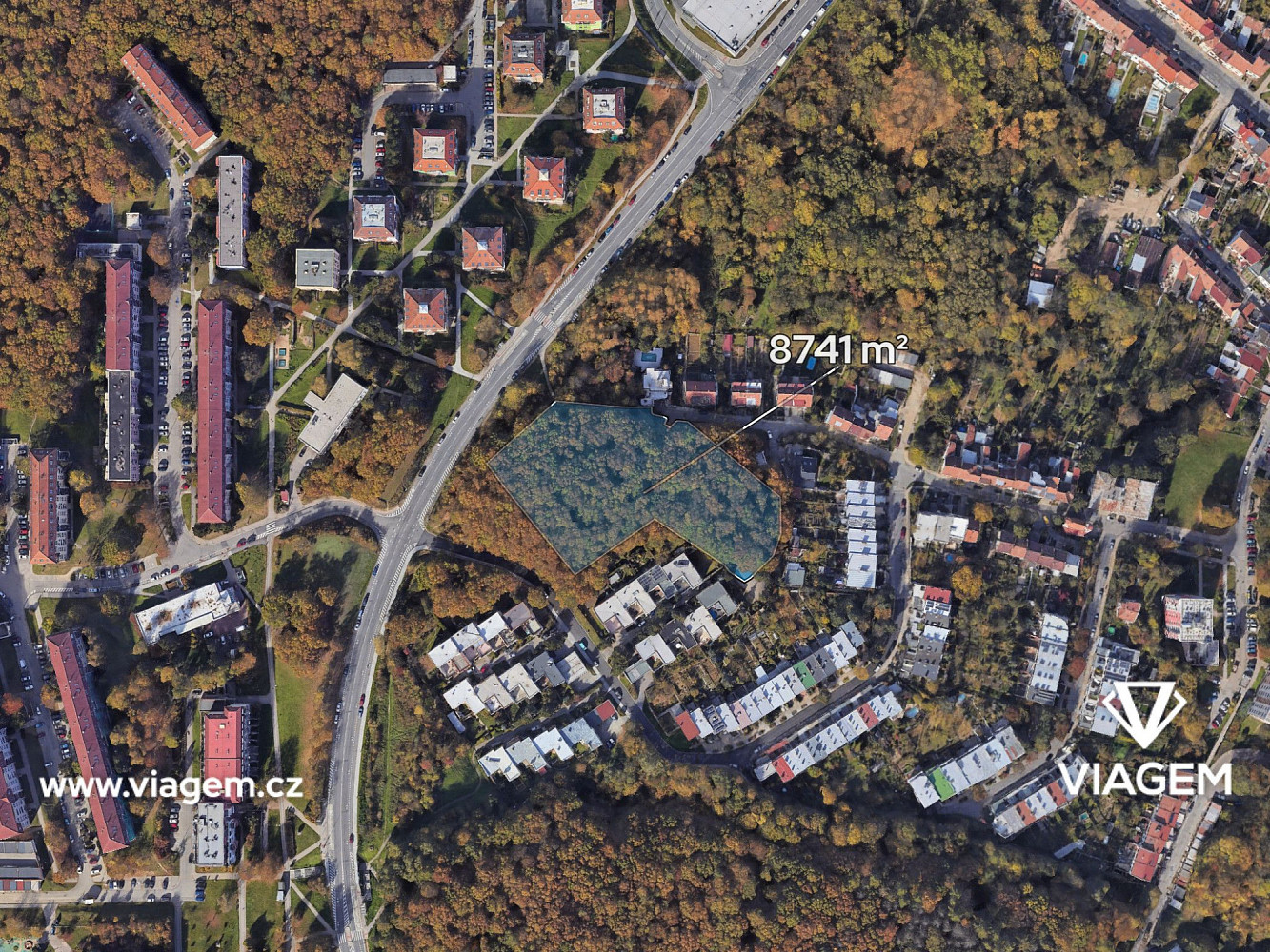 Prodej lesa 546 m² – fotografie 2