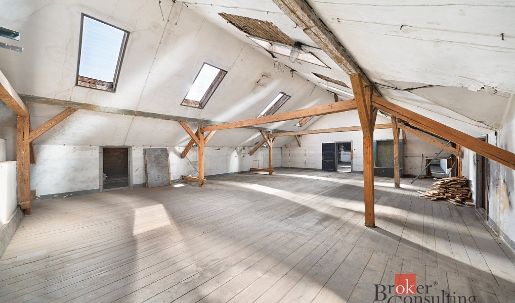 Prodej komerčního objektu (jiného typu) 1 100 m², Krnov – náhled fotky 18