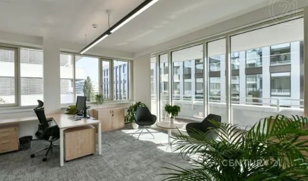 Pronájem kanceláře 216 m², Praha – náhled fotky 5