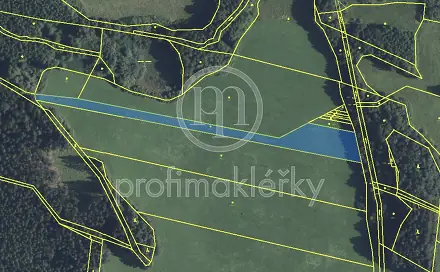 Prodej louky 5 639 m², Opatov, okres Svitavy