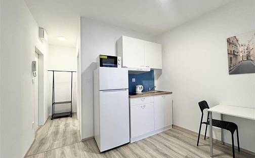 Pronájem bytu 2+1 36 m², Mendlovo náměstí, Brno - Staré Brno