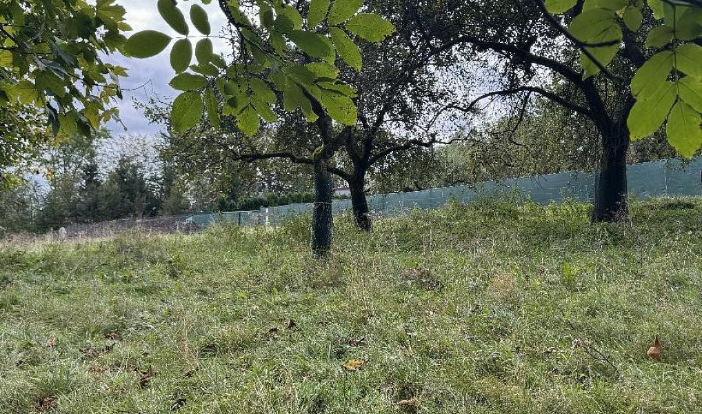 Prodej pozemku 10 821 m², Velké Svatoňovice – náhled fotky 4