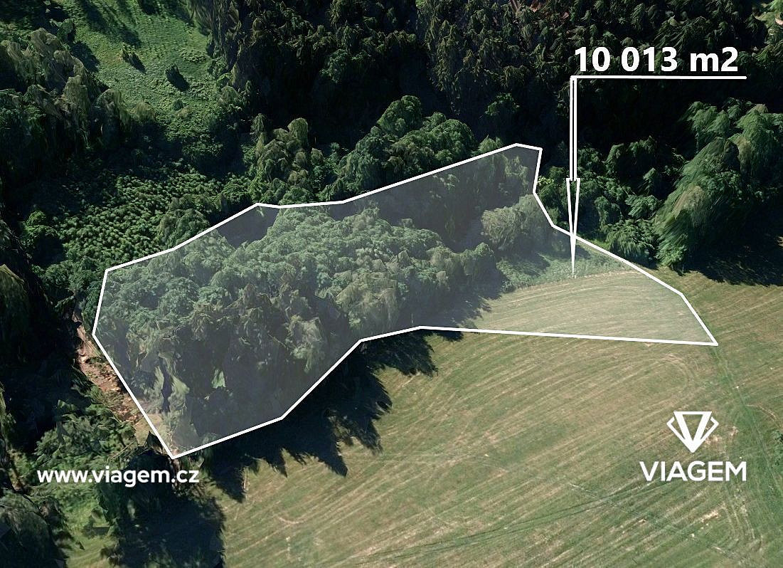 Prodej lesa 2 503 m²