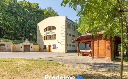 Prodej vinařského areálu + historický sklep z roku 1770 - Chvalovice u Znojma, Chvalovice, okres Znojmo