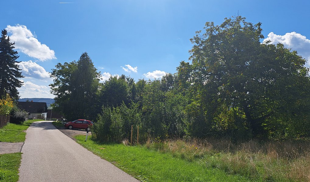 Prodej stavebního pozemku 3 619 m², Nemojov – náhled fotky 10