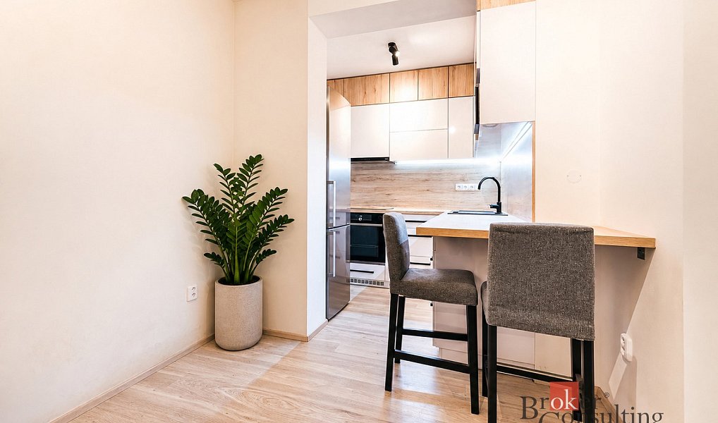 Prodej bytu 1+kk 42 m², Brno – náhled fotky 3