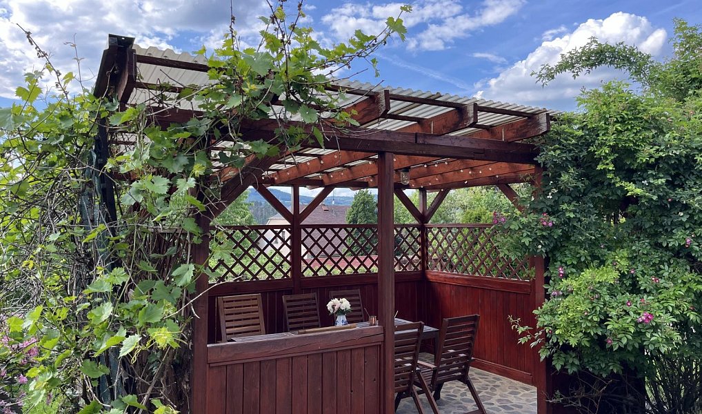 Pronájem domu 160 m² s pozemkem 1 135 m², Stašov – náhled fotky 30