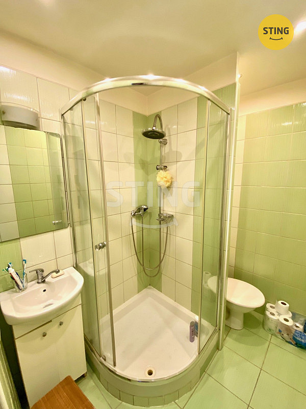 Prodej bytu 1+kk 22 m² — photo 4