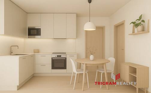 Prodej bytu 2+1 79 m², Durychova, Hradec Králové - Nový Hradec Králové