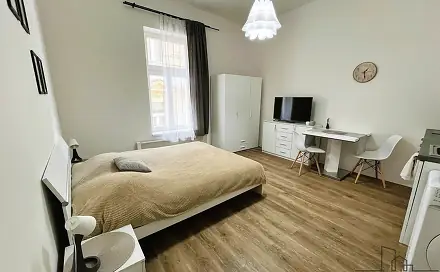Pronájem bytu 1+kk 30 m², Petrská, Praha 1 - Nové Město