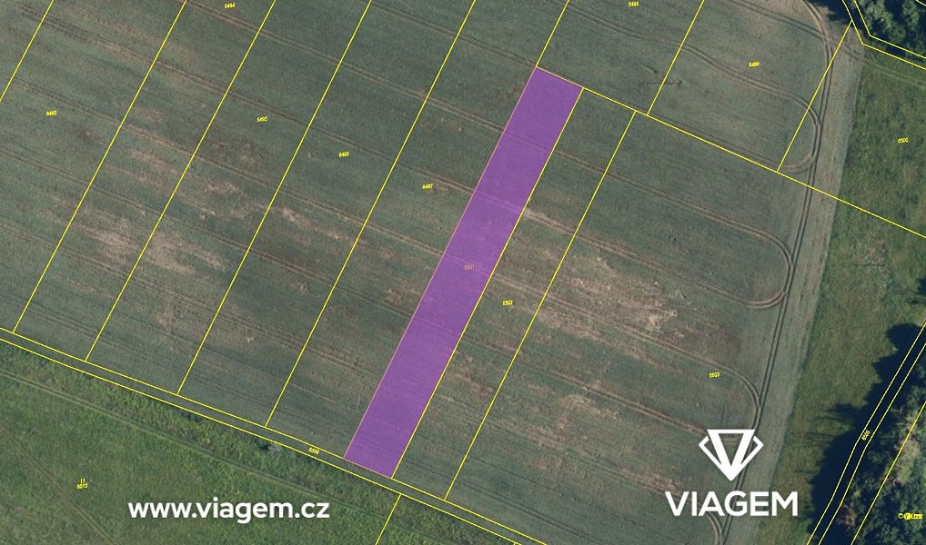 Prodej pole 3 470 m², Zaječí – náhled fotky 4