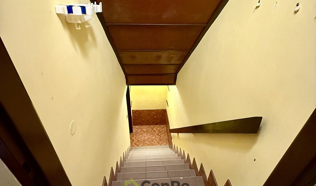 Prodej domu 297 m² s pozemkem 2 452 m², Provodín – náhled fotky 23