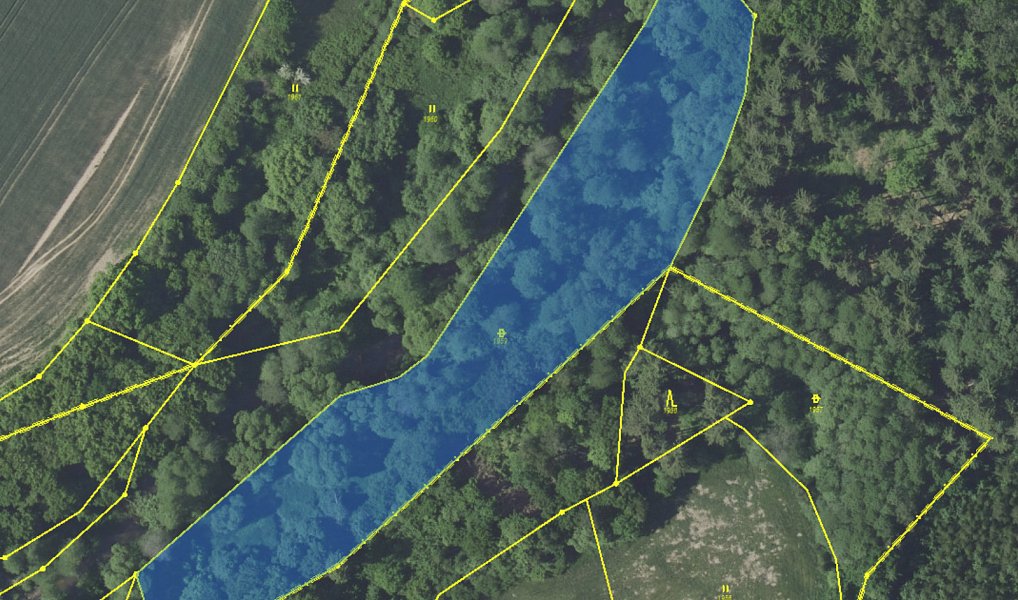 Prodej pozemku 23 891 m², Louňovice pod Blaníkem – náhled fotky 10