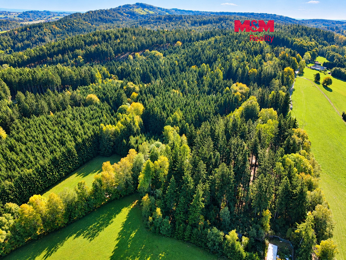Prodej lesa 15 881 m²