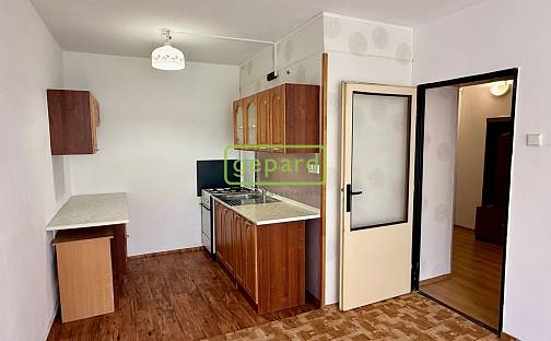 Pronájem bytu 2+kk 52 m², K. J. Erbena, Most