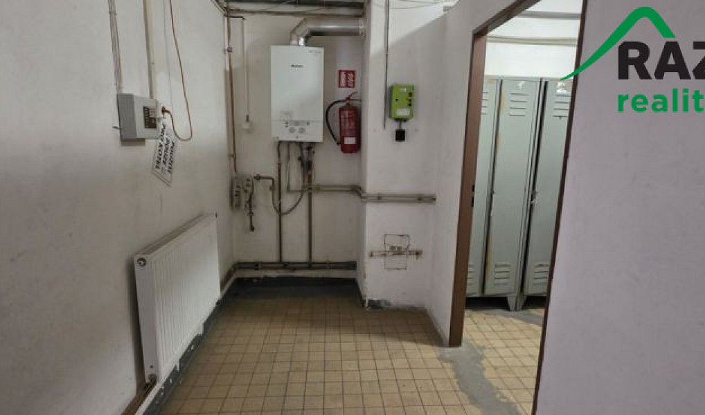 Pronájem výrobních prostor 249 m², Planá – náhled fotky 14