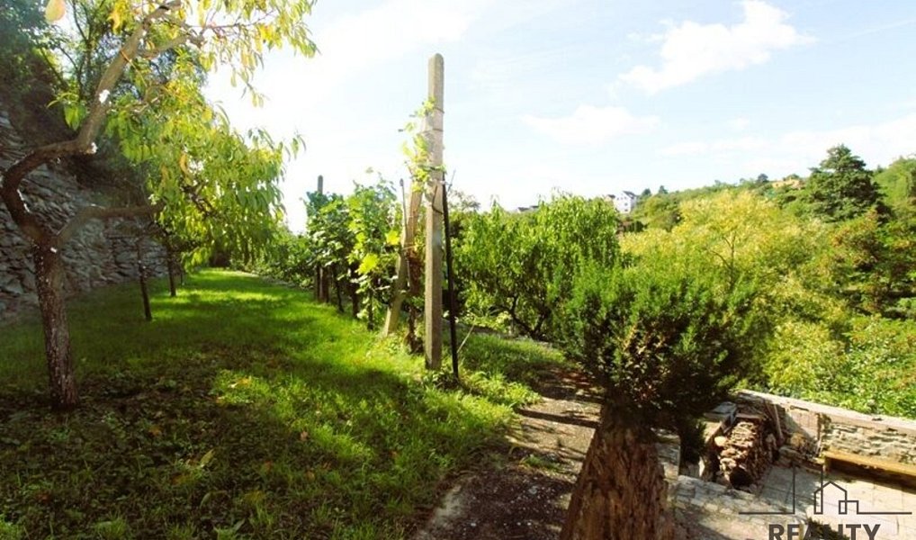 Prodej zahrady 1 116 m², Znojmo – náhled fotky 11
