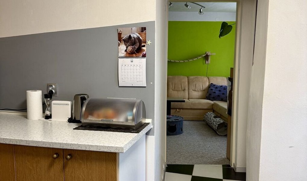 Prodej domu 95 m² s pozemkem 306 m², Jezeřany-Maršovice – náhled fotky 9