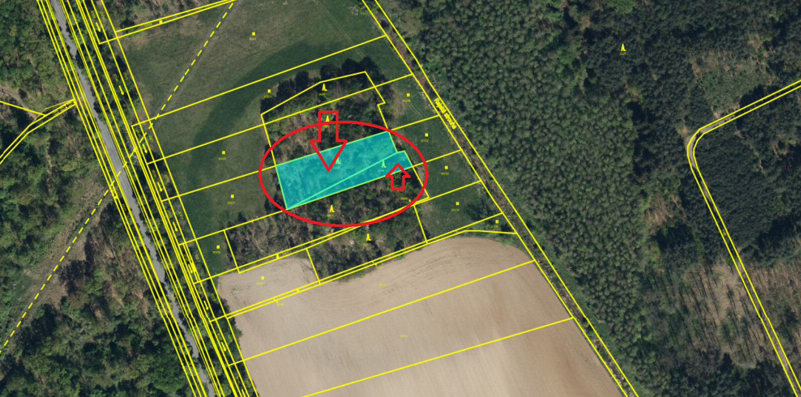 Prodej lesa 890 m²