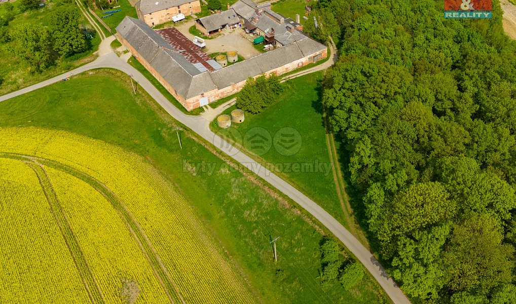 Prodej louky 2 451 m², Javorník – náhled fotky 5