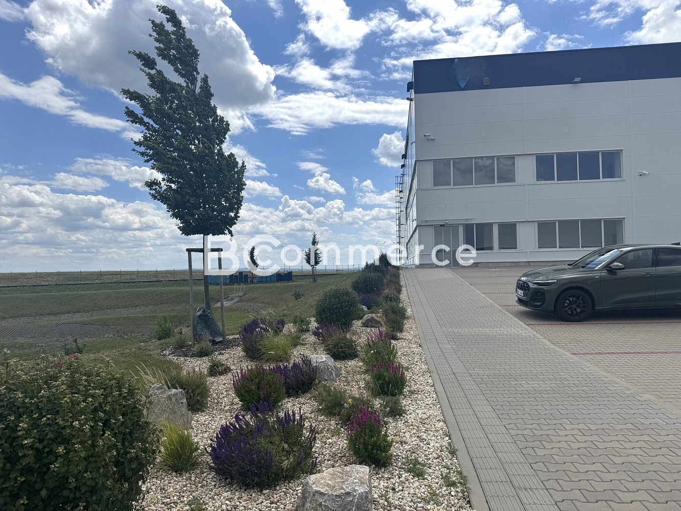Pronájem kanceláře 600 m²