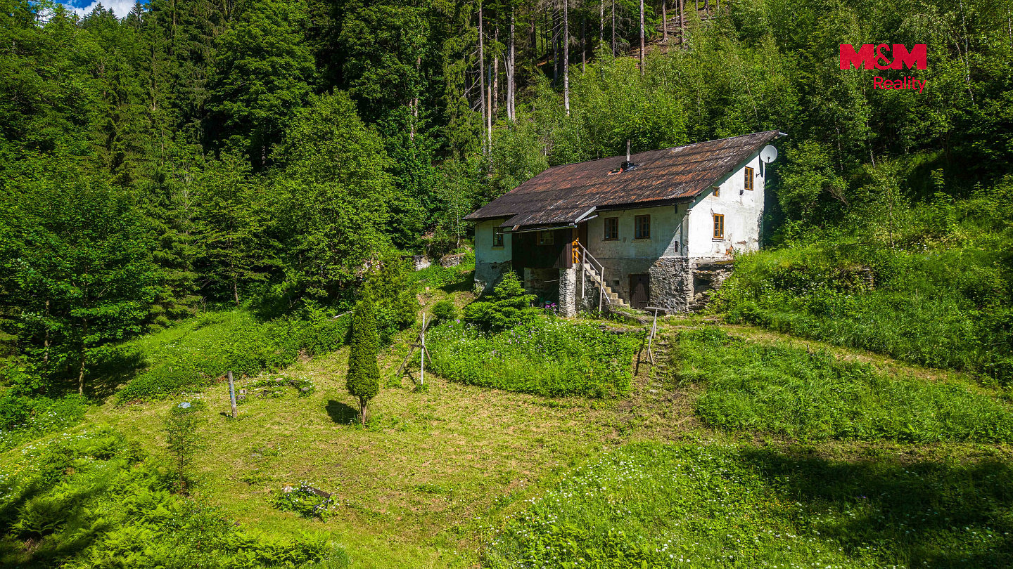 Prodej lesa 18 052 m² — photo 5