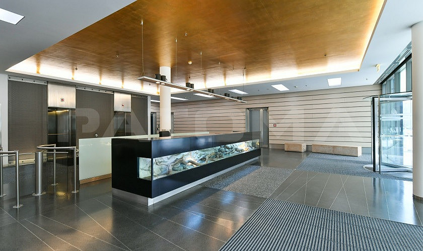 Pronájem kanceláře 937 m² – fotografie 4