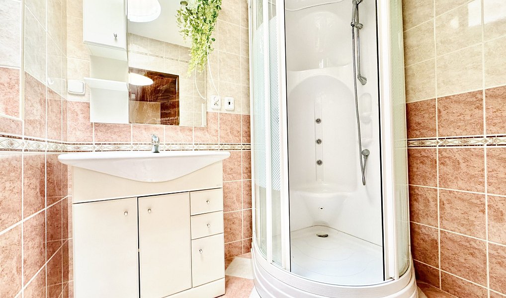Prodej domu 169 m² s pozemkem 243 m², Třebíč – náhled fotky 11
