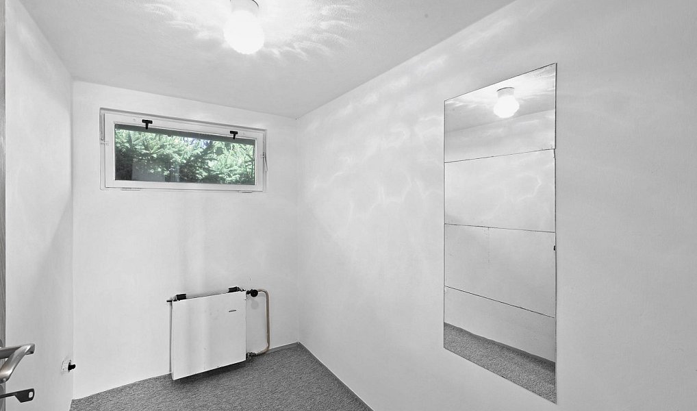 Prodej domu 250 m² s pozemkem 885 m², Milešov – náhled fotky 25