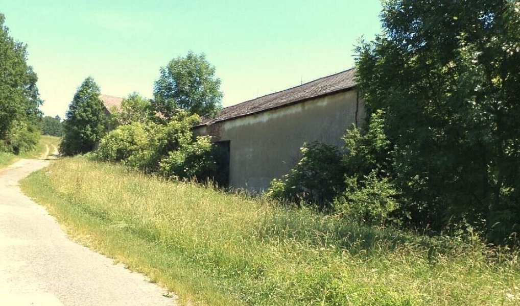 Prodej pole 2 817 m², Přeštěnice – fotka 1 z 7