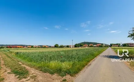 Ostatní