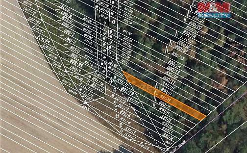 Prodej lesa 299 m², Skoronice, okres Hodonín