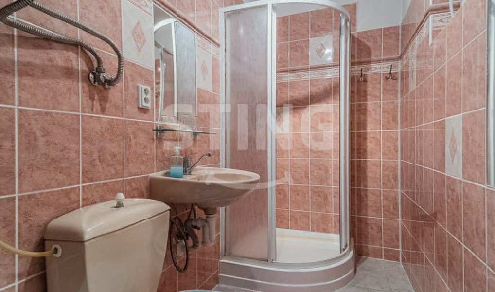 Prodej ubytovacího objektu 813 m², Spálov – náhled fotky 25