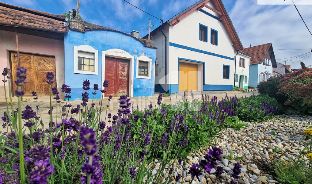 Prodej domu 183 m² s pozemkem 115 m², Bořetice – fotka 1 z 29