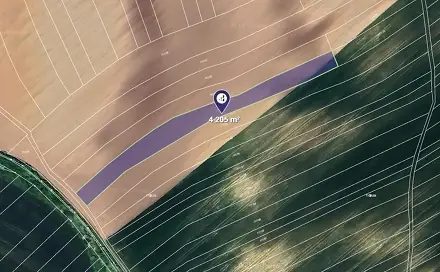 Prodej pole 4 205 m², Čejkovice, okres Hodonín