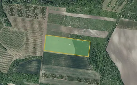 Prodej pole 25 653 m², Želkovice, okres Louny