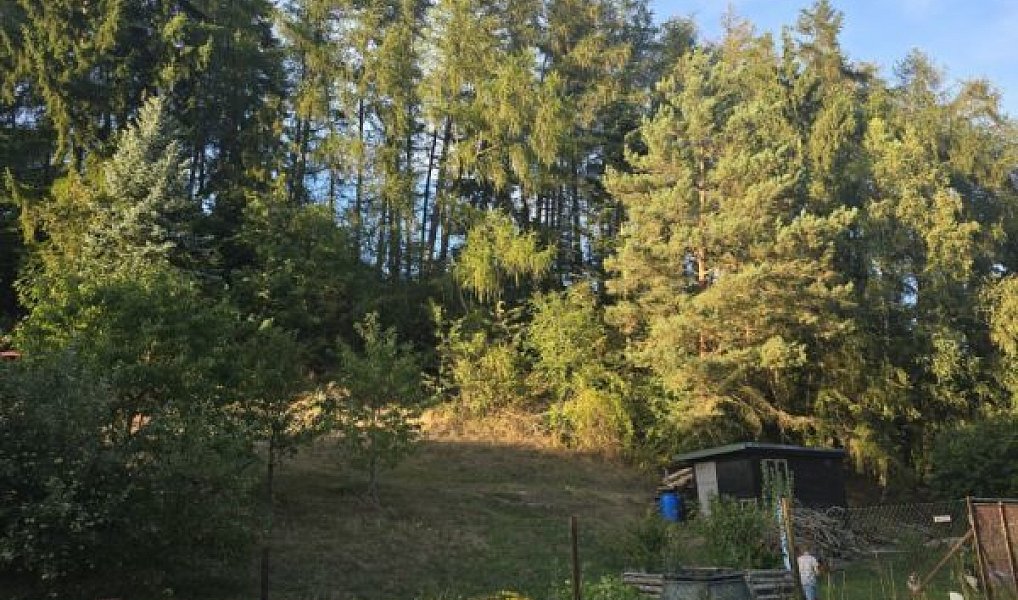 Prodej zahrady 1 611 m², Malé Svatoňovice – náhled fotky 4