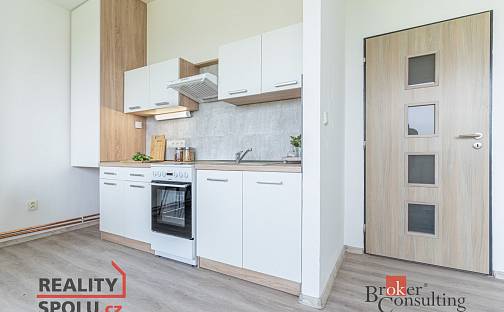 Pronájem bytu 2+kk 54 m², Mlékojedy, okres Litoměřice