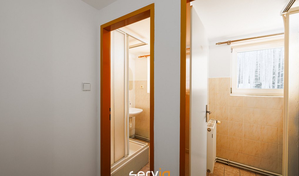 Prodej ubytovacího objektu 500 m², Říčky v Orlických horách – náhled fotky 11