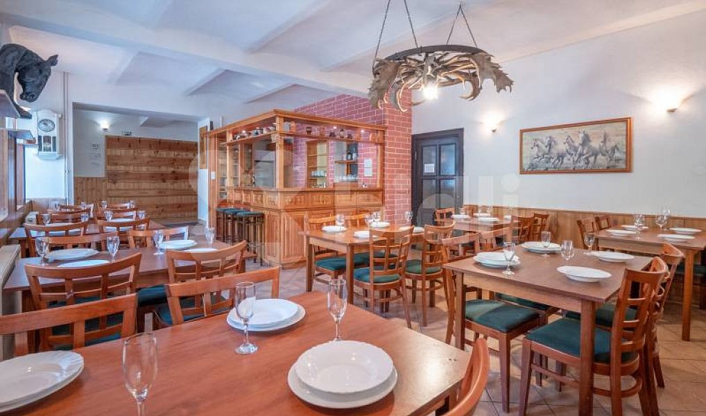 Prodej komerčního objektu (jiného typu) 2 705 m², Dolní Moravice – náhled fotky 5