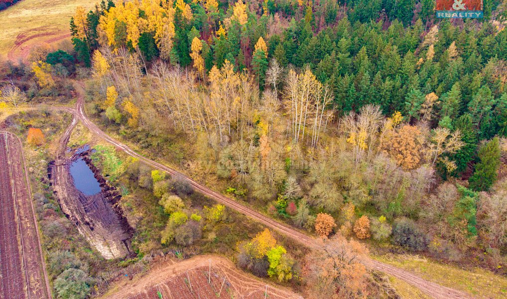Prodej lesa 2 921 m², Tuchořice – náhled fotky 2