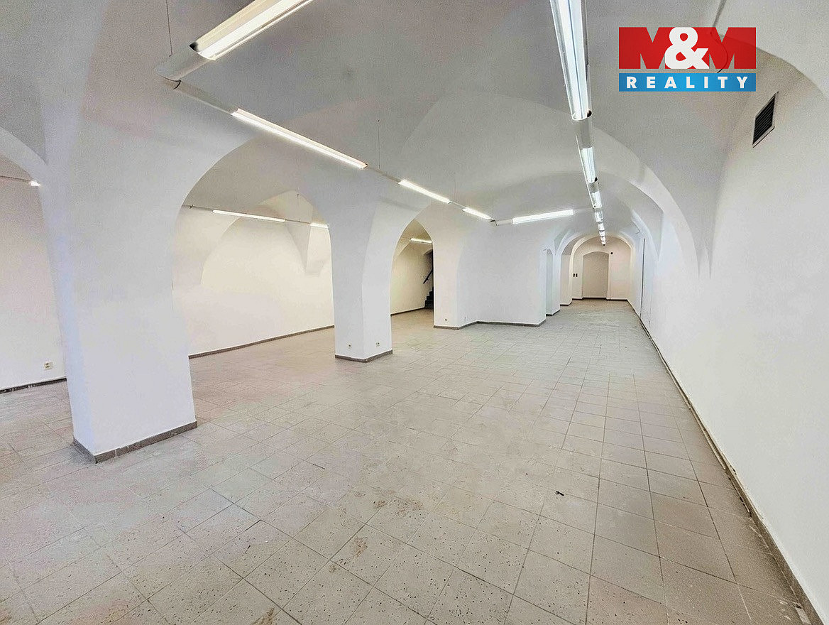 Pronájem obchodních prostor 360 m² — photo 5