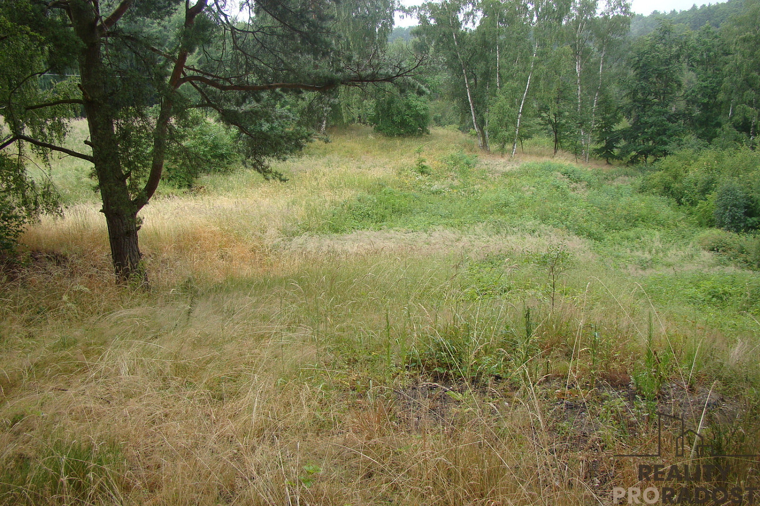 Prodej zahrady 2 000 m², Krušovice