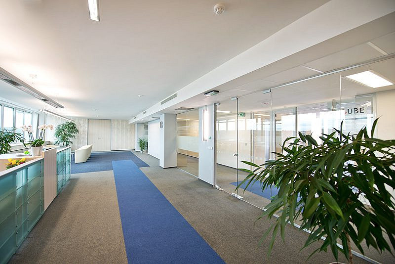 Pronájem kanceláře 289 m² – fotografie 4