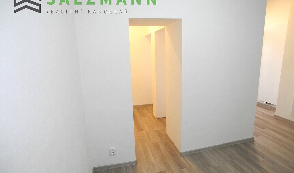 Pronájem bytu 3+kk 79 m², Plzeň – náhled fotky 12
