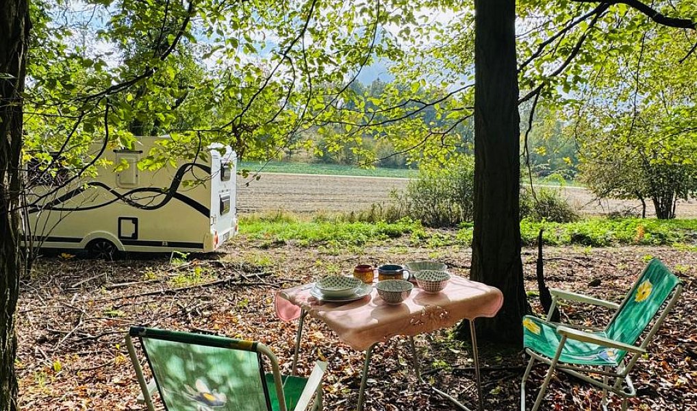 Prodej lesa 893 m², Postupice – náhled fotky 4