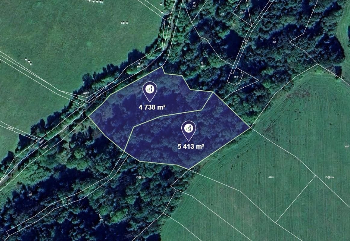 Prodej lesa 10 151 m²