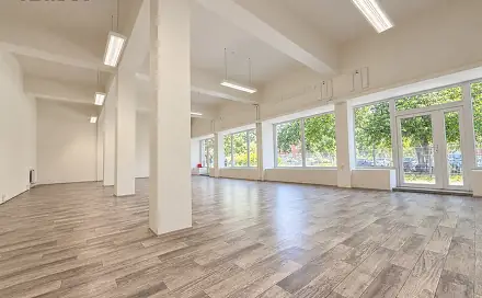 Pronájem obchodních prostor 168 m², M. Švabinského, Bílina - Teplické Předměstí, okres Teplice